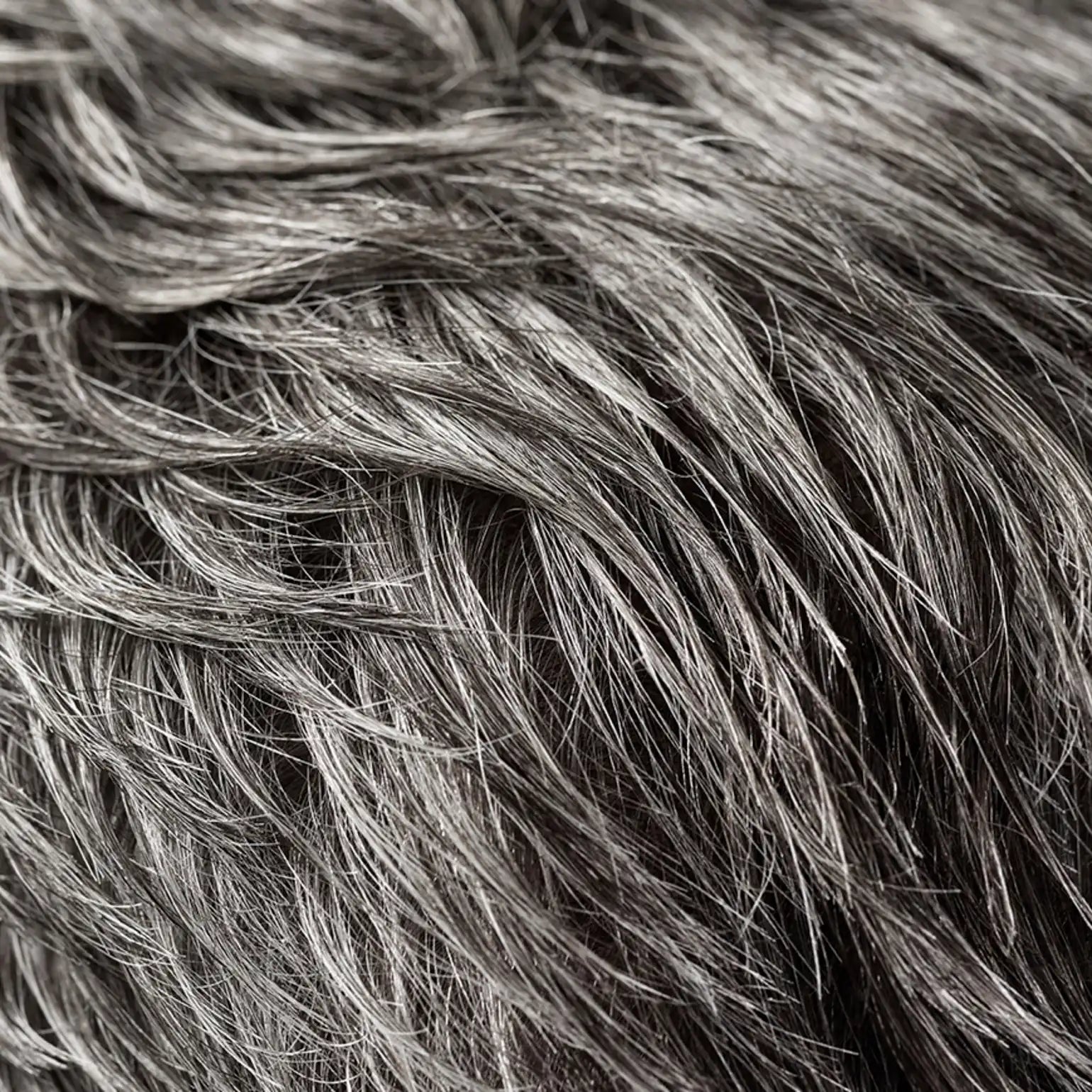 oribehairmalls.com